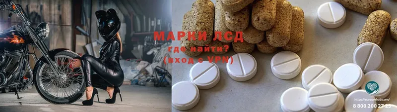 Лсд 25 экстази ecstasy  купить наркоту  Будённовск 